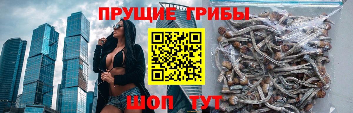 Галлюциногенные грибы ЛСД  Вход с VPN  Петровск 